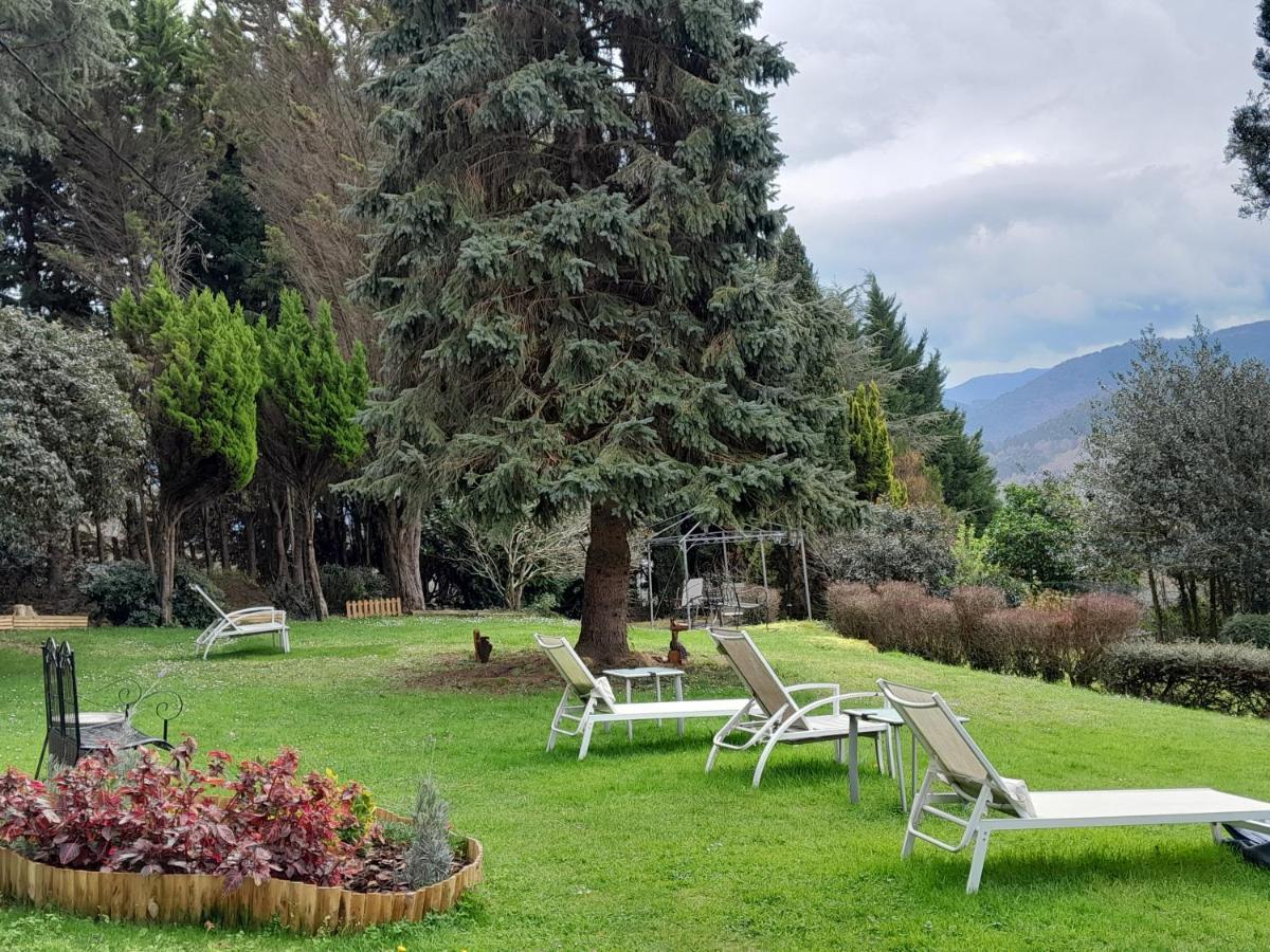 Urrezko Ametsa Sopuerta Exterior foto