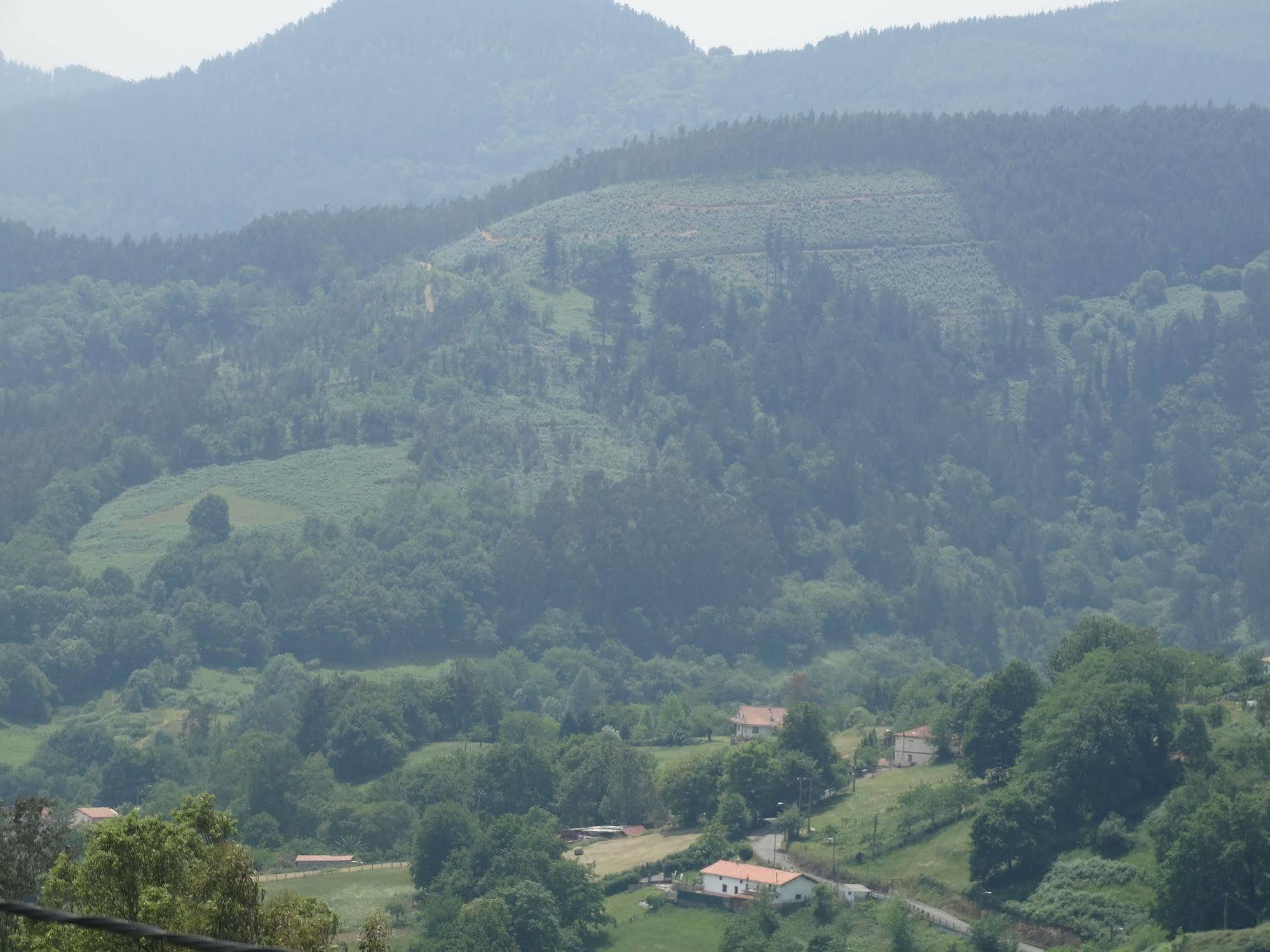 Urrezko Ametsa Sopuerta Exterior foto